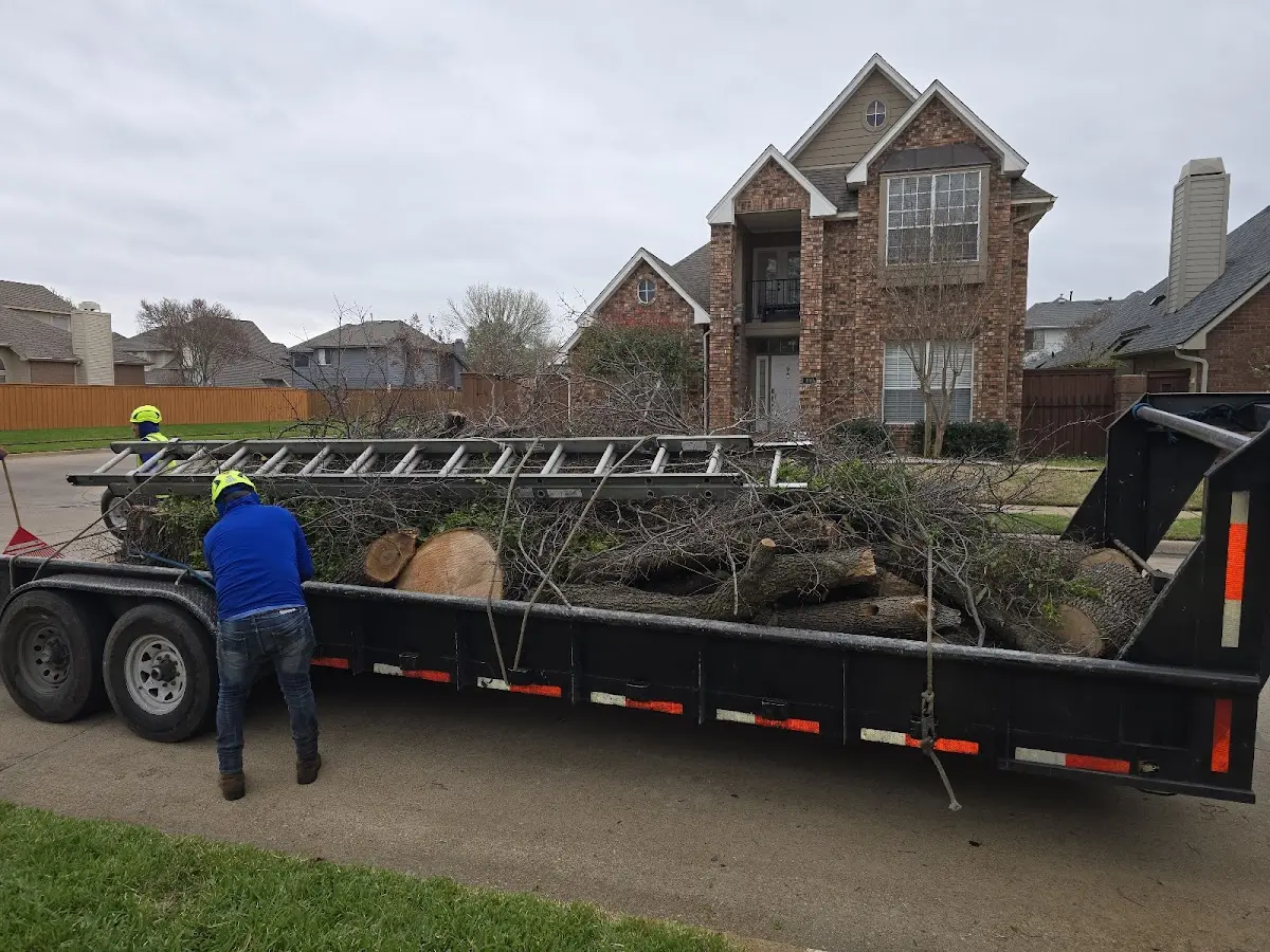 Expert Crown Reduction with proper safety equipment in Beaver Dams